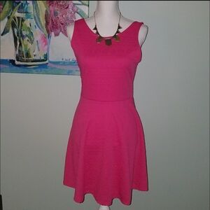 🍍Ginger G M Pink Embossed Skater Dress Nwt